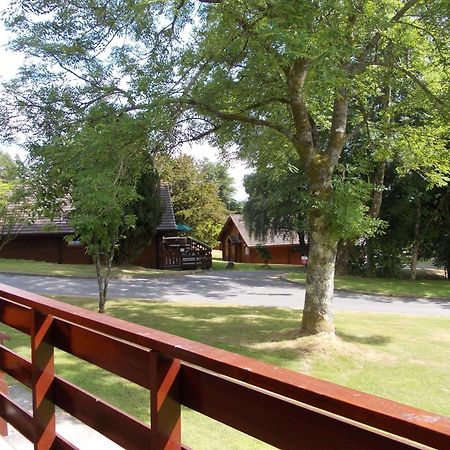 Bluebell Lodge 4 With Hot Tub Newton Stewart Exterior photo